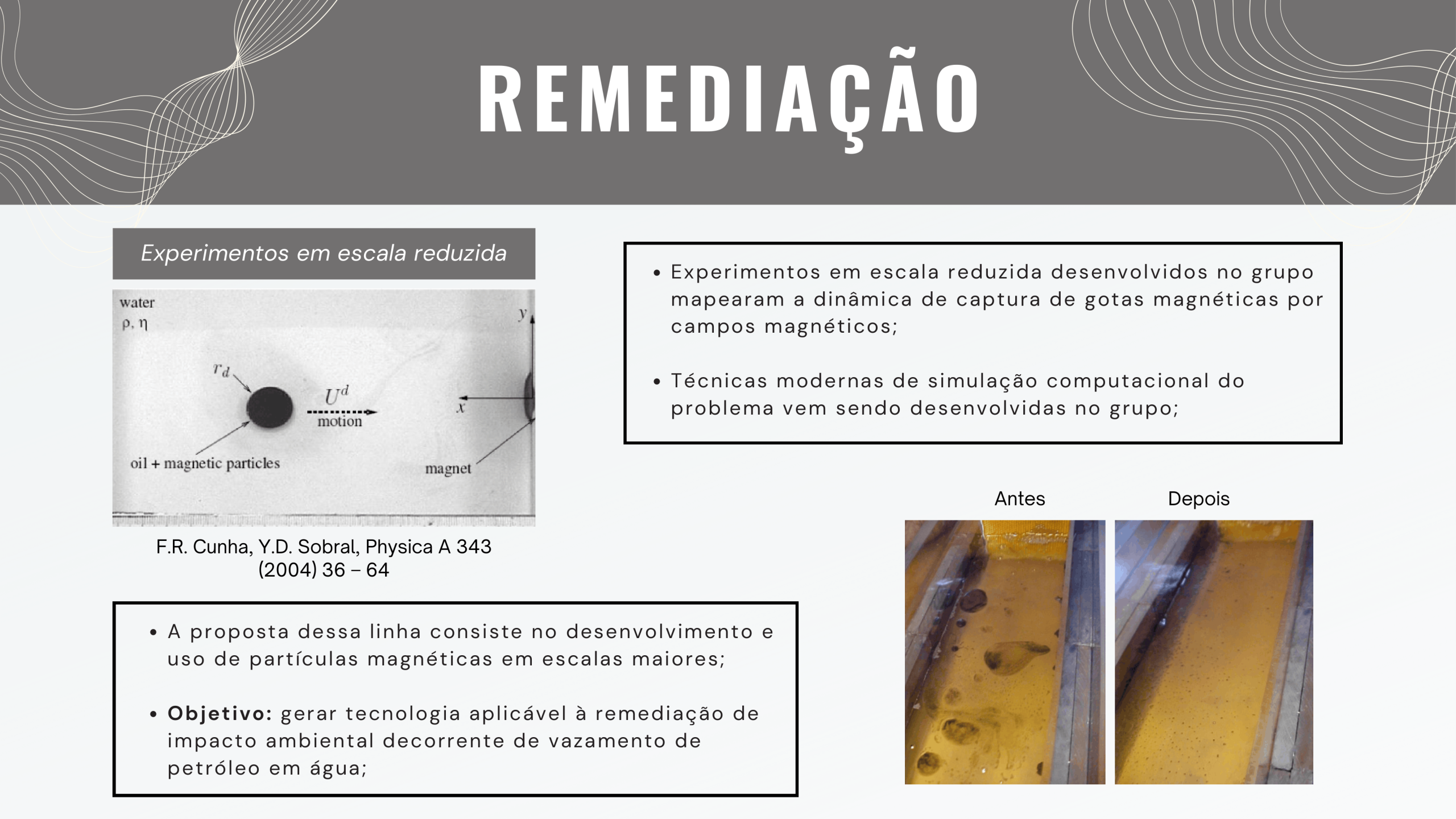 Slide 8